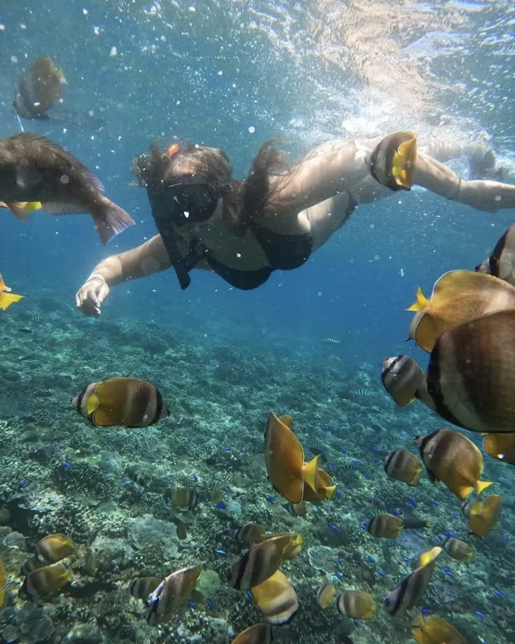 Dolphin Watching Tour