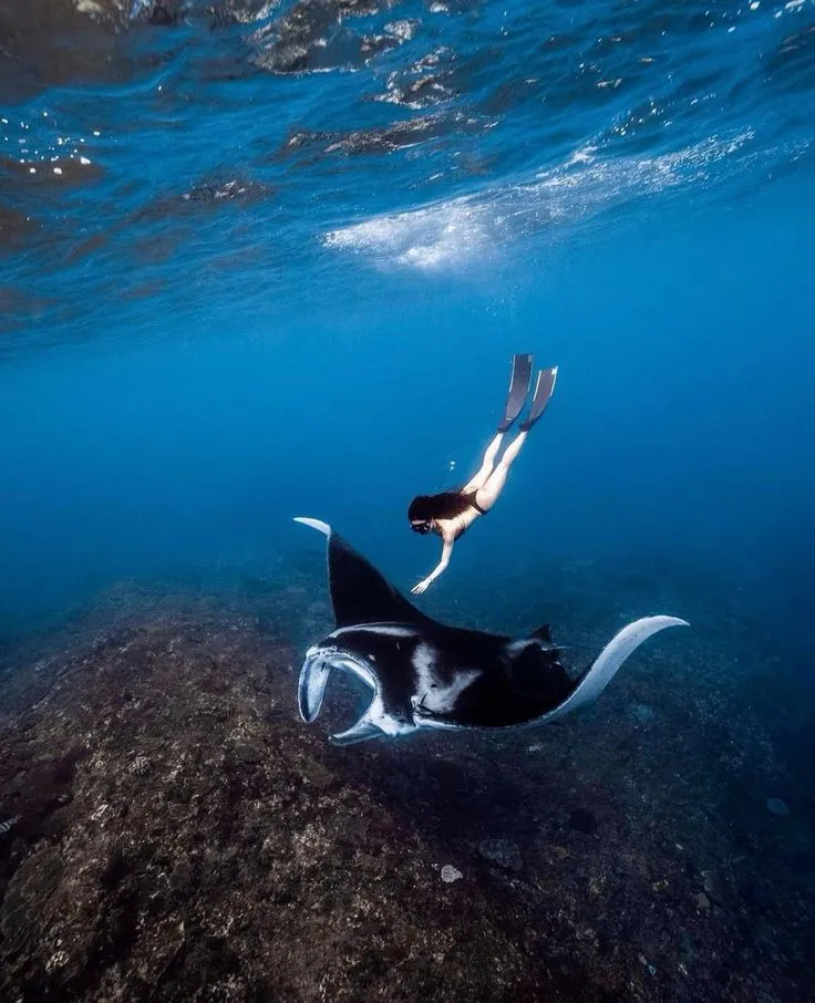East & West Nusa Penida Tour